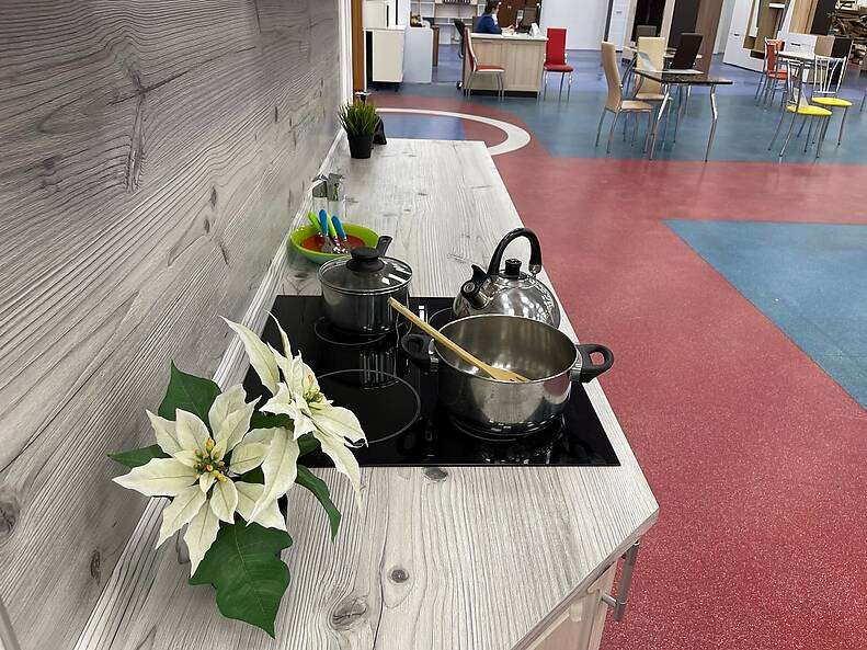 Сосна бискайская (2058М) Сосна бискайская (2058М)