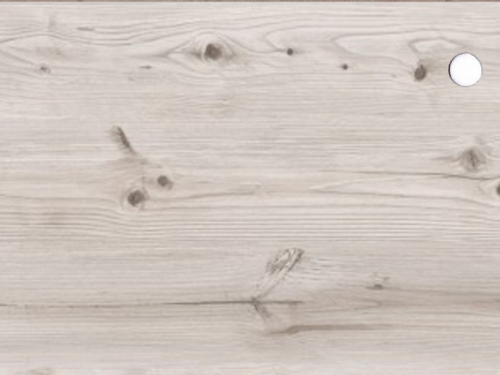 Сосна бискайская 38 мм. (2058М) Сосна бискайская 38 мм. (2058М)