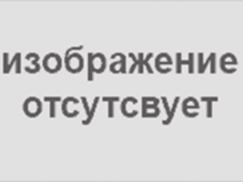 Газ-лифт 80N (8кг.)