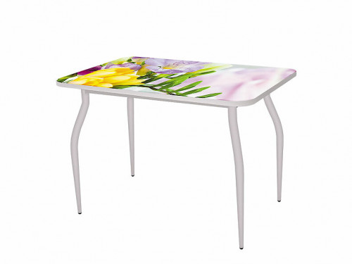 Стол разборный "Бриз" Столешница (B1) Прямоугольник Нераздвижной Фотопечать Стол разборный "Бриз" Столешница (B1) Прямоугольник Нераздвижной Фотопечать